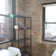Image for article titled Apartment Completely Flooded With Disgusting Sunlight